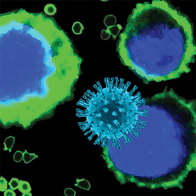 HIV Rev-­dependent Reporter Cells - Virongy