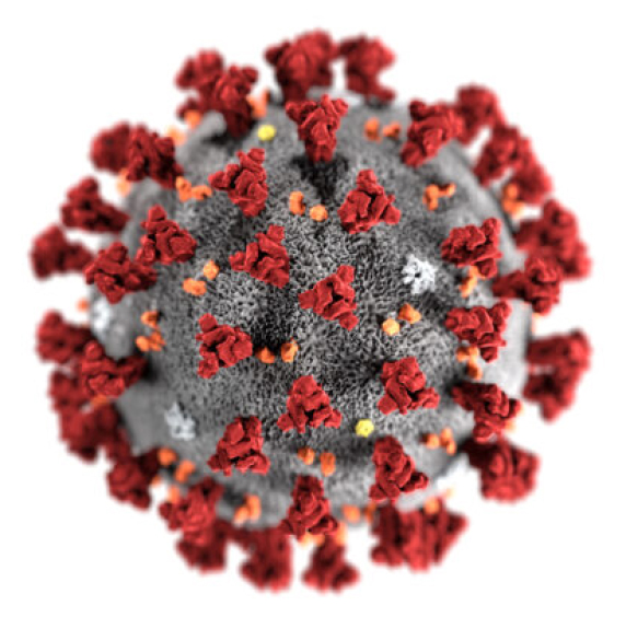 coronavirus psedotyped lentivirus
