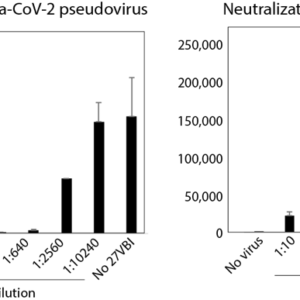 SARS-CoV-2 Neutralizing Antibody