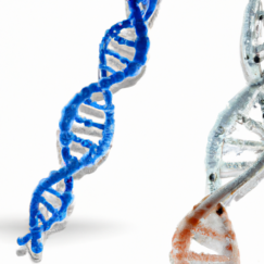 RNA and DNA strands